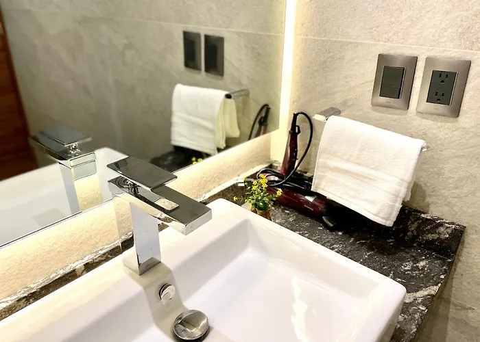Condesa Lives Apartment