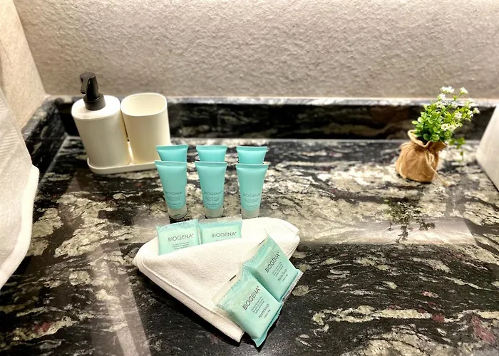Condesa Lives Apartment