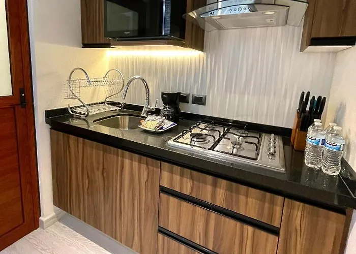 Apartment Condesa Lives *